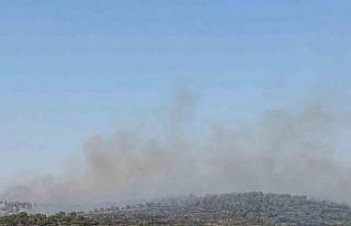 Mardin’de yangına müdahale eden ekipler kaplumbağalara...