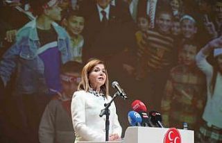 MHP Genel Başkan Yardımcısı Topcu: "Terörsüz...