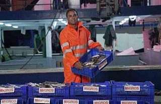 Migros, tüketicilere 15 bin ton taze balık ulaştıracak