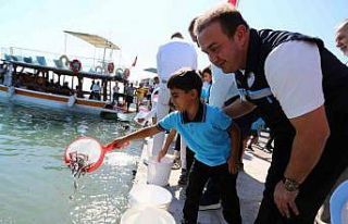 Milas Boğaziçi’ne 150 bin çipura ve 10 bin levrek...