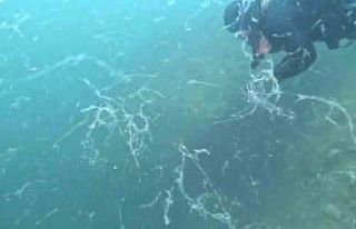 Müsilaj kabusu Marmara’ya geri döndü