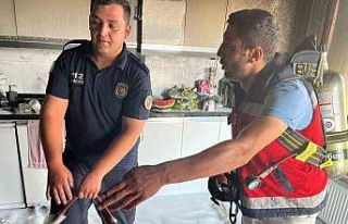 Mutfakta çıkan yangın itfaiye ekiplerince söndürüldü