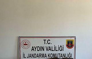 Nazilli’de jandarmadan silah operasyonu