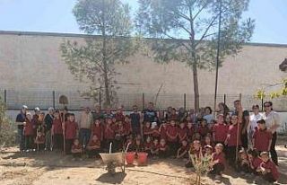 Okul bahçesinde fidan diktiler