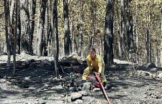 Orman yangınına müdahale 3 gündür sürüyor