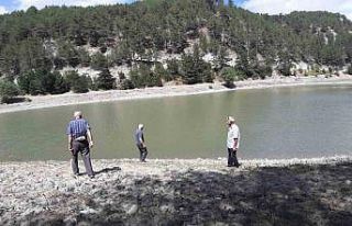 Orman yangınında kritik rol oynayan gölet, can...