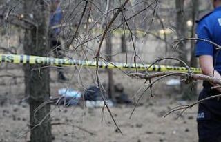 Ormanda bulunan ceset firari doktora ait çıktı