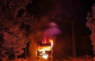 Park halindeki kamyon cayır cayır yandı