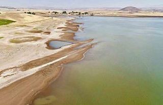 Patnos Barajı’nda  su seviyesi alarm veriyor