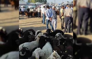 Patnos’ta hayvan pazarı yeniden açıldı