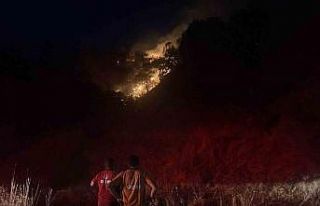 Pınardere yangını kontrol altına alındı