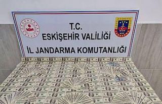 Piyasa değeri yaklaşık 1 milyon TL olan sahte dolarlar...