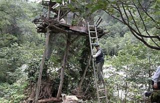Rize’de karakovan balı Anzer Balı’nı solladı