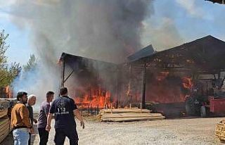 Safranbolu’da kereste fabrikasında yangın