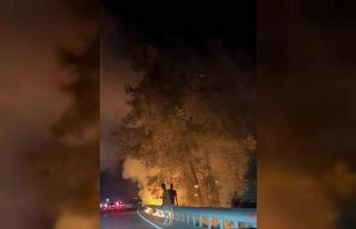 Sakar rampasında orman yangını