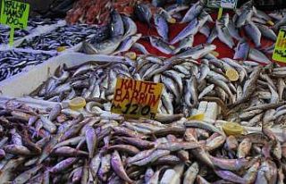 Samsun’da hamsi bolluğu fiyatları düşürdü:...