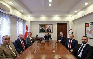 Samsun’da tüm sığırlara kimlik