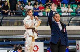 Şanıer kardeşler farklı branşlarda başarıdan...