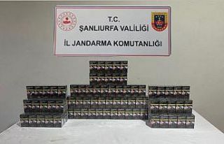 Şanlıurfa’da gümrük kaçakçılarına operasyon