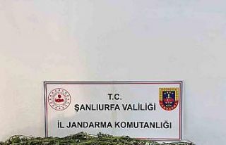 Şanlıurfa’da uyuşturucu operasyonu: 42 gözaltı