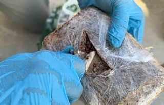 Şehirlerarası otobüste pul biber içine zulalanmış...