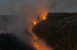 Şemdinli’de ormanlık alanda korkutan yangın