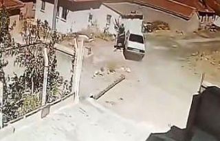 Seyir halindeki araçta yılan paniği kamerada: Sürücü...