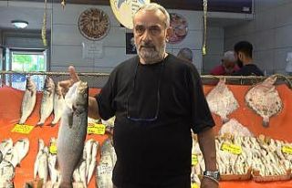 Sezon açıldı, tezgahlarda hamsi ve istavrit bolluğu