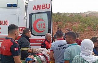 Siirt’te trafik kazası: 3 yaralı