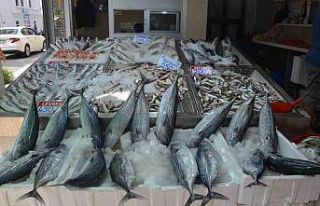 Sinop’ta torik bolluğu: Tanesi 800 TL