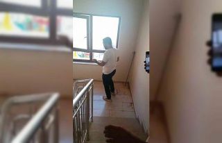 Şırnak’ta apartmanda yılan paniği