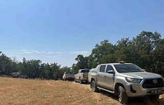 Şırnak’ta Bestler Dereler bölgesinde orman yangını:...