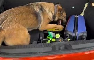 Süpürgeye zulalanmış uyuşturucu ele geçirildi