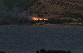 Tatvan’da orman yangını