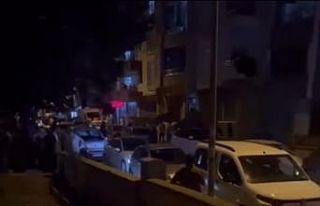 Tatvan’da park kavgası: 1 ölü