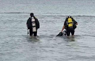Tekirdağ’da denizde kaybolan kadın aranıyor