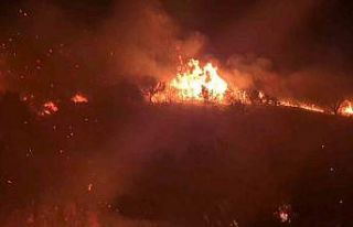 Tekirdağ’da geniş alana yayılan yangın kontrol...