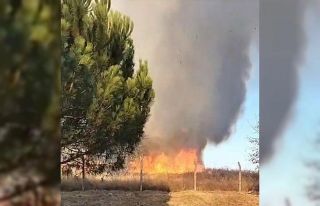 Tekirdağ’da korkutan yangın