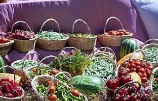 Uluslararası Çubuk Turşu ve Kültür Festivali...