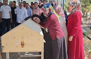 Üniversite kaydı için çıktıkları yolda yanarak...