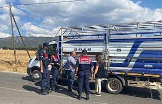 Uşak’ta canlı hayvan nakil araçlarına yönelik...