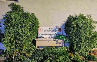 Uyuşturucudan 6 kişi tutuklandı, 44 şahıs hakkında...