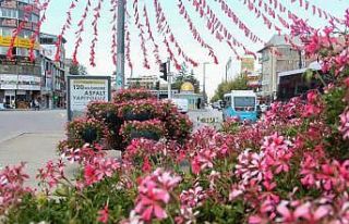 Van Büyükşehir Belediyesi şehri sardunyalarla...
