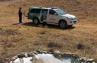 Van jandarmasından yaban hayatına minik su havuzları