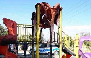 Vandallar çocuk oyun parkını yaktı