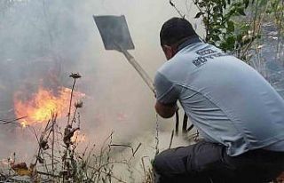 Yangını söndürmek içi devlet-millet seferber...