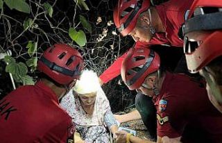 Yaşlı kadın mama verdiği köpek sayesinde bulundu