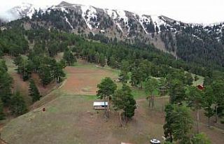 Yaylalara erken kar sürprizi