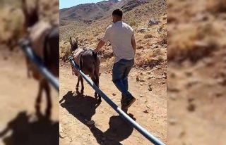 Yolalan’da eşeklerle su seferberliği