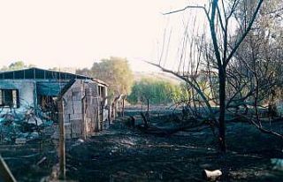 Yozgat’ta yangın: Bir ev ve 20 dönüm alan küle...